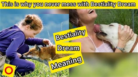 Newest Bestiality Videos.